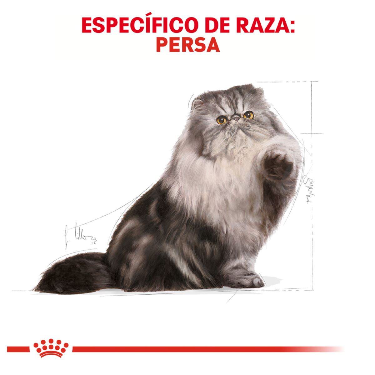 Royal Canin Persian Cat Adult 3.18 Kg - Alimento para Gato Persa Adulto Royal Canin Persian Cat Adult 3.18 Kg - Alimento para Gato Persa Adulto